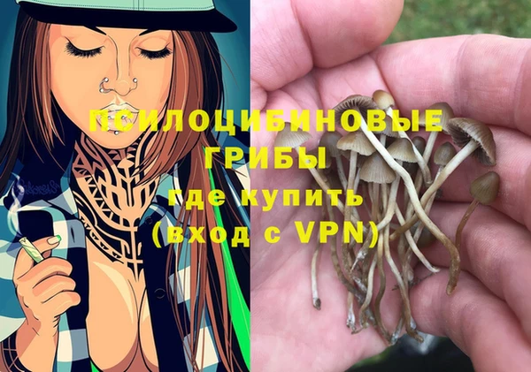 метадон Медногорск