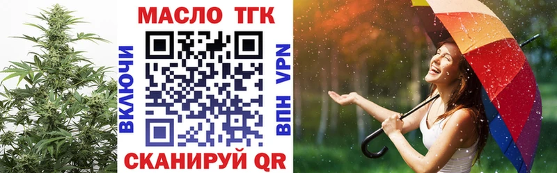 магазин продажи наркотиков  Вилючинск  hydra   ТГК THC oil 
