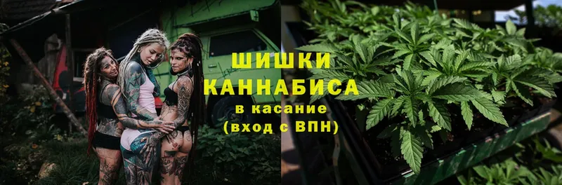 Шишки марихуана THC 21%  shop какой сайт  Вилючинск 